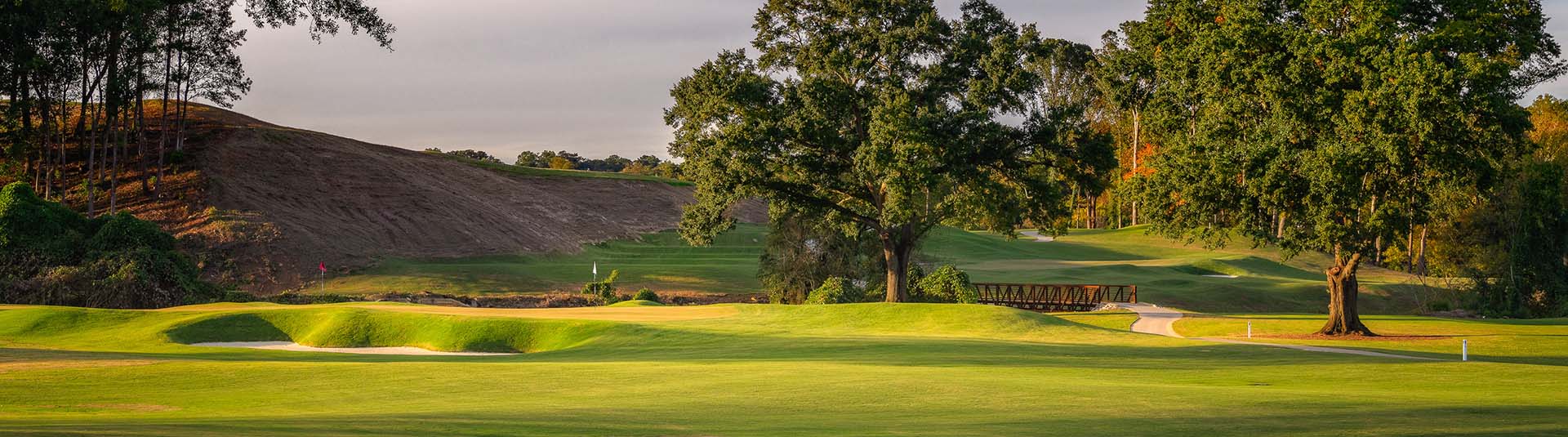 Image of golf ball on tee on grass.